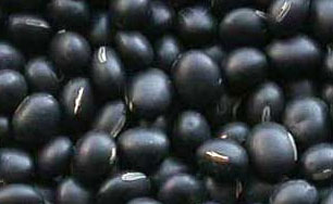 Black Matpe